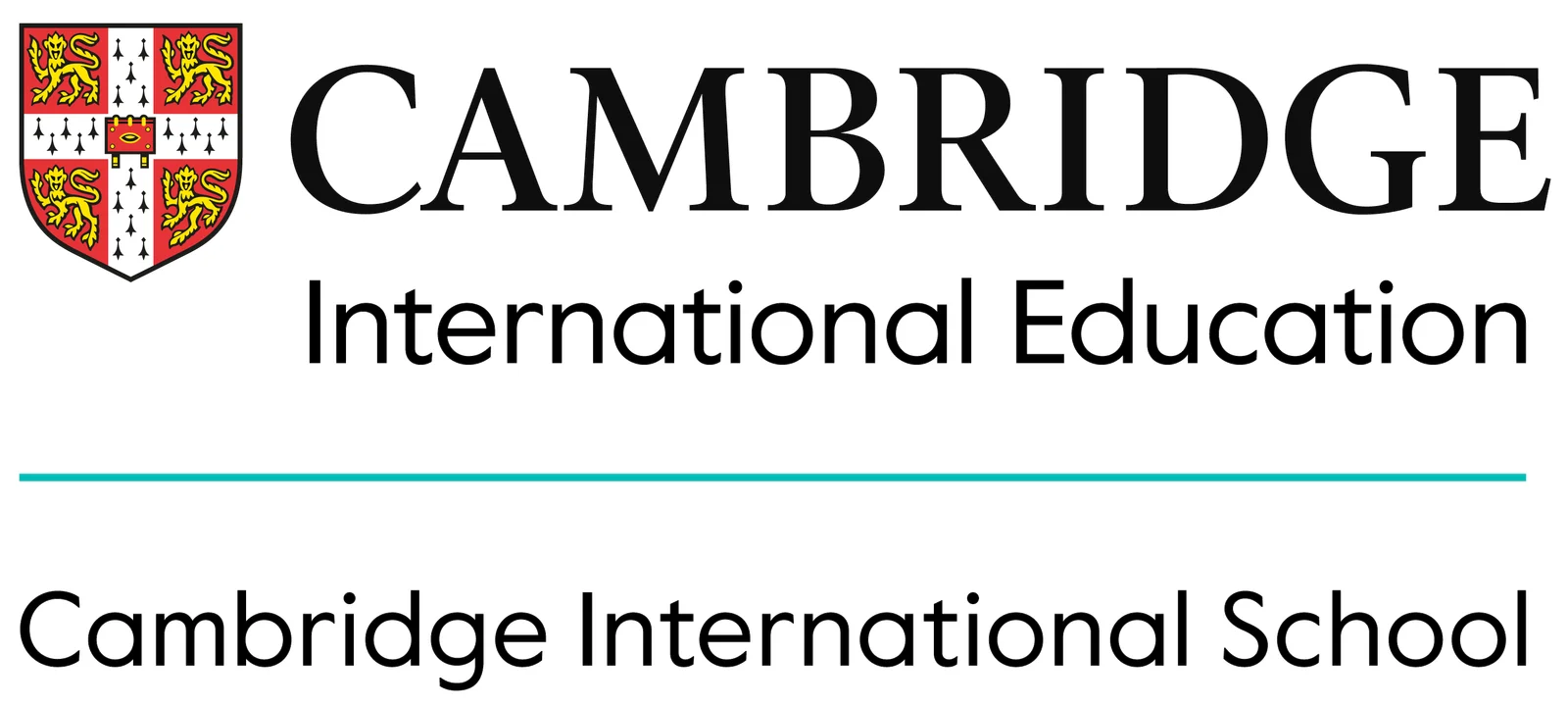 Cambridge International School